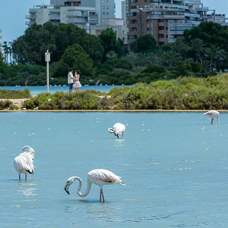 Ar Roca Esmeralda & 3* Calpe